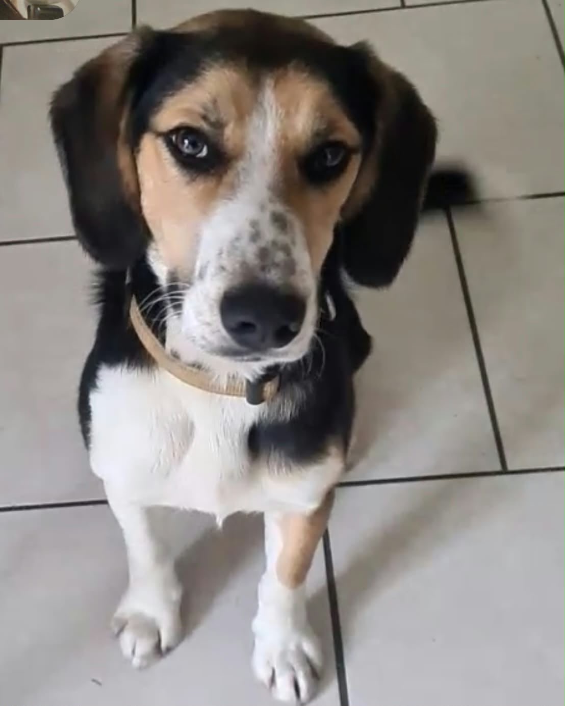 Meet Cooper